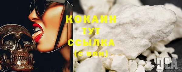 ешки Гусь-Хрустальный