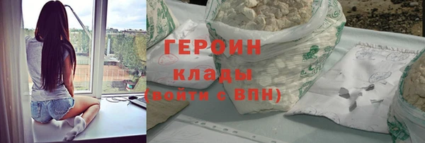 прущие грибы Гусиноозёрск