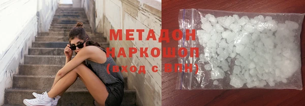 прущие грибы Гусиноозёрск