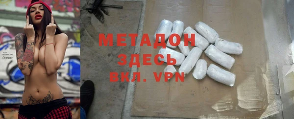 прущие грибы Гусиноозёрск