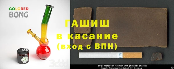прущие грибы Гусиноозёрск