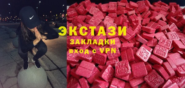 прущие грибы Гусиноозёрск