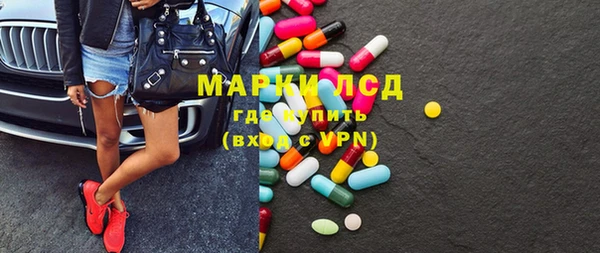 прущие грибы Гусиноозёрск