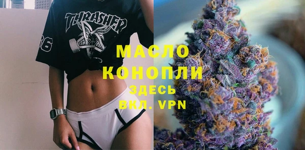 прущие грибы Гусиноозёрск
