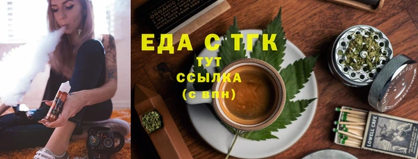 прущие грибы Гусиноозёрск