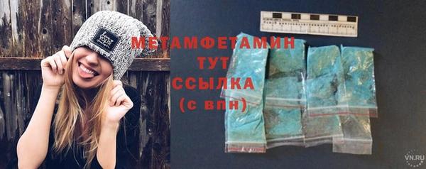 прущие грибы Гусиноозёрск