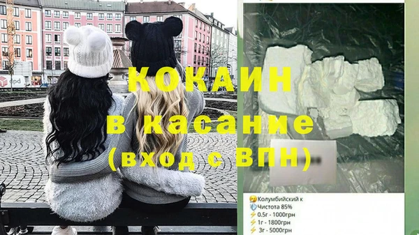 прущие грибы Гусиноозёрск