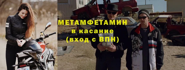прущие грибы Гусиноозёрск