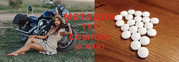 прущие грибы Гусиноозёрск